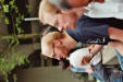 imm023_24A