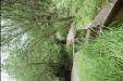 imm024_25A